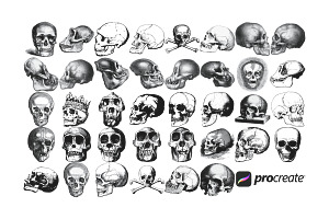 Vintage Skull Set 1 Procreate Brush