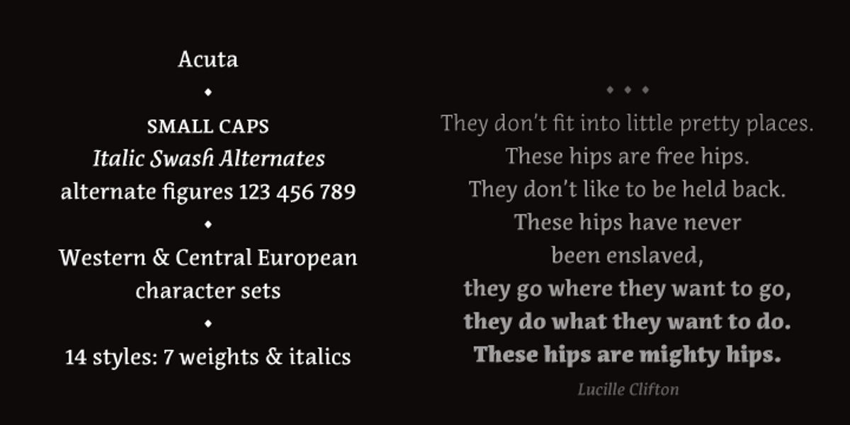 Acuta, a Serif Font by Anatoletype (Photo 5 of 5)