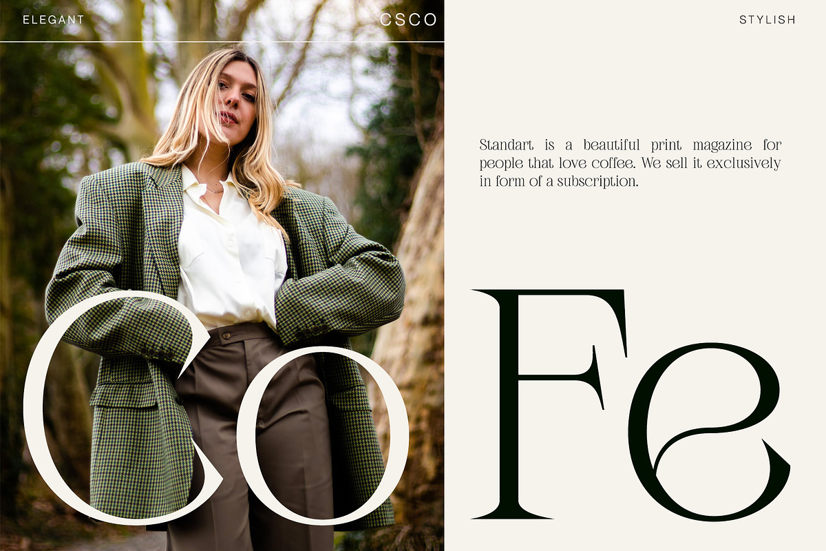 Febila - Elegant Serif Font, a Serif Font by Craft Supply Co. (Photo 2 of 8)
