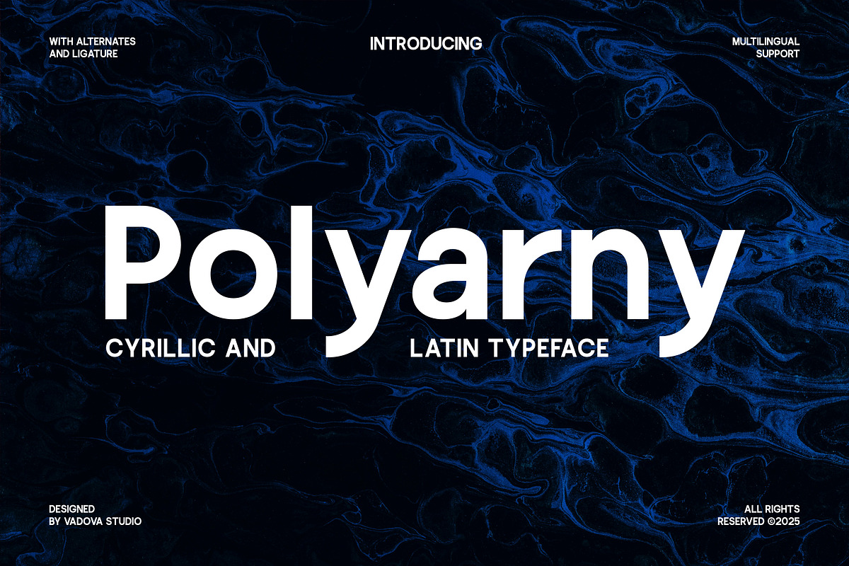 Polyarny Cyrillic Sans Serif Font, a Sans Serif Font by Vadovastd (Photo 1 of 7)