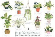 House Plants Collection, a Graphic by SmallHouseBigPony (Thumbnail 1 of 18)