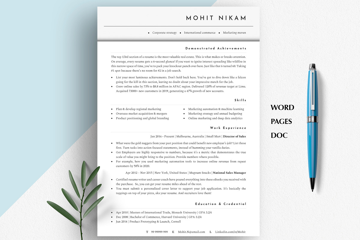 Director Resume Template, CV, a Resume Template by Career Canvas (Photo 2 of 11)