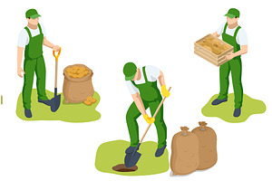 Agricultural cultivation. Isometric, an Object Illustration by Golden Sikorka