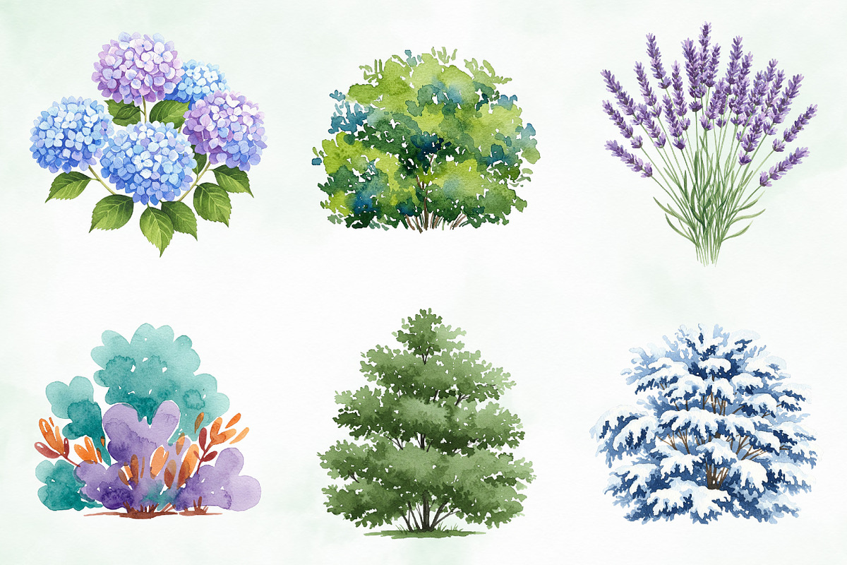 Watercolor Bushes Clipart Bundle, an Illustration by Creative Art (Photo 2 of 10)