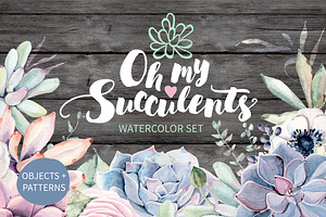 Oh my Succulents watercolor set