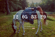 Alysum - eCommerce PSD template, a Websites & App Template by Promokit (Thumbnail 27 of 30)