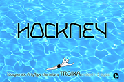 Troika, a Sans Serif Font by ArtyType (Thumbnail 3 of 9)