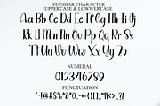 Natural, a Script Font by InermediaSTUDIO (Thumbnail 5 of 8)