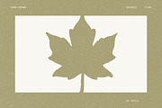 Autumn Foliage: 100 Leaves Pack, an Object Illustration by Veyla (Thumbnail 4 of 15)