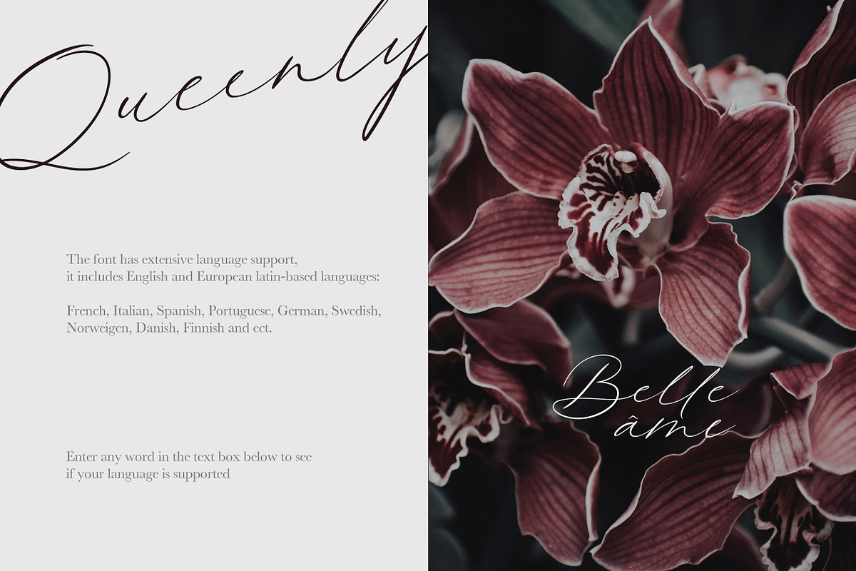 Queenly. Handwritten Font, a Script Font by AnMark (Photo 13 of 15)