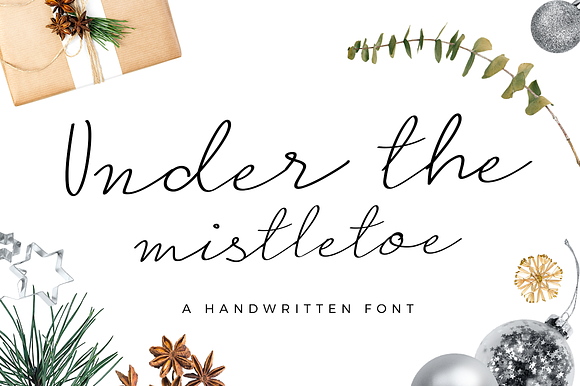Under the Mistletoe- Script Font preview 7