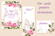 Birds bundle, an Animal Illustration by IPVector (Thumbnail 2 of 6)