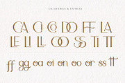 Adele Moon Serif Font + Extras, a Serif Font by Creator Goodies (Thumbnail 11 of 17)