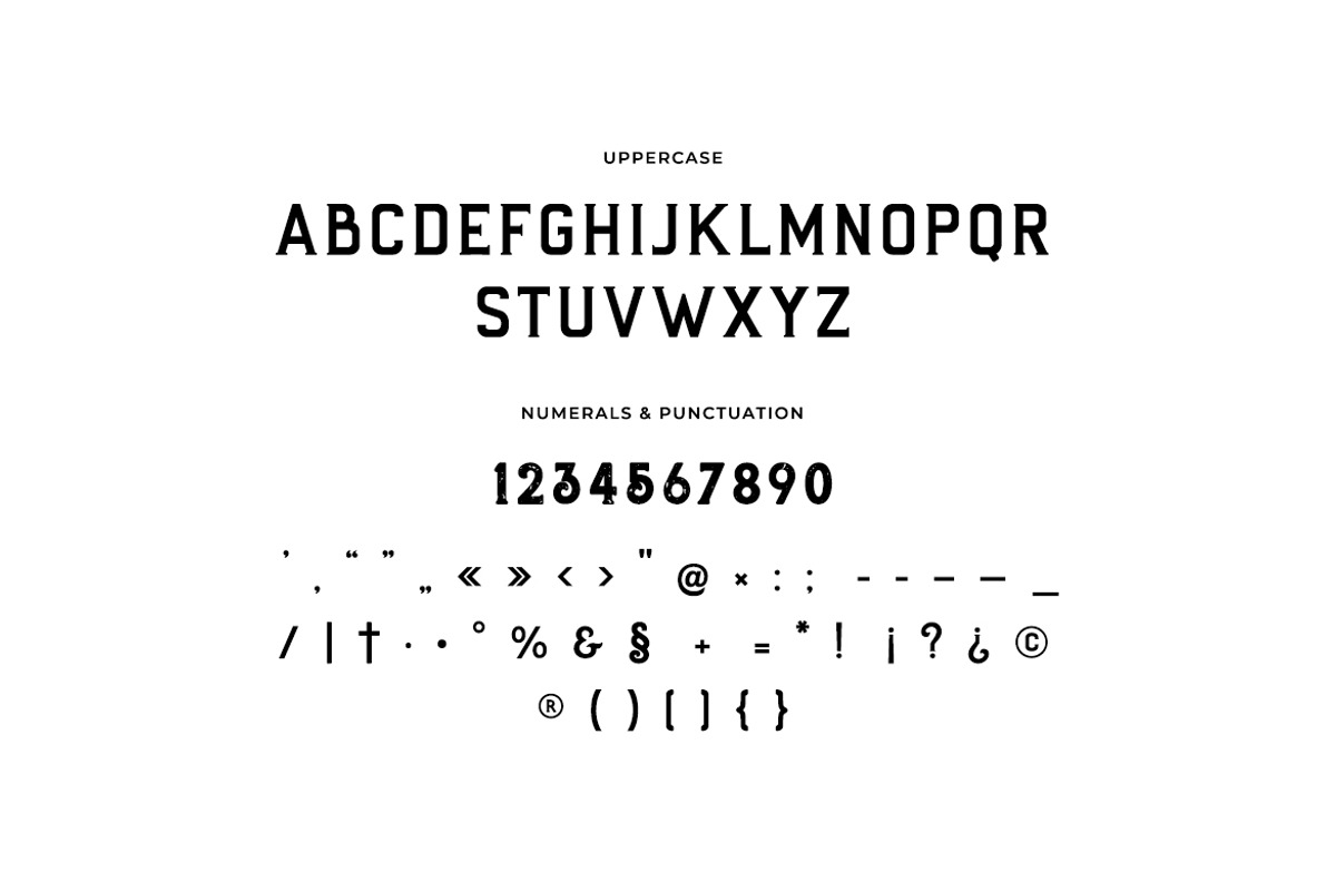 Rough Flannel Slab Serif Font, a Slab Serif Font by UICreative (Photo 4 of 11)