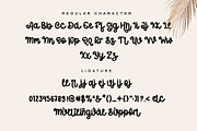 Vellay, a Script Font by Stefani Letter (Thumbnail 5 of 6)