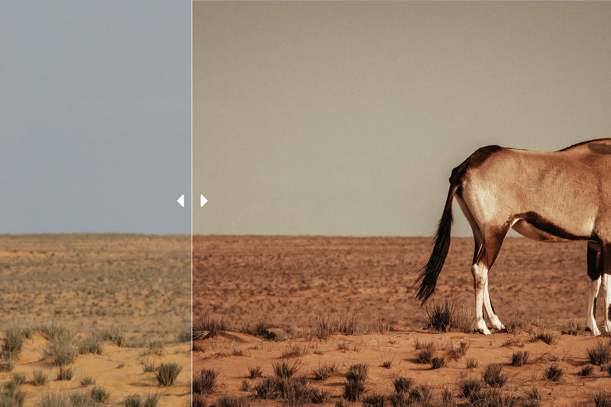Lightroom Portait Presets (XMP+DNG), a Layer Style Add-On by yosscinematic (Photo 6 of 20)