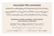 Canari – Modern Calligraphy Fonts, a Script Font by RedyStudio (Thumbnail 12 of 13)