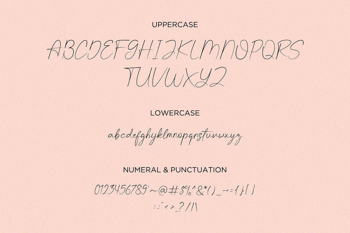 Vallenitta | beautiful script font, a Script Font by Lightsense (Photo 8 of 10)