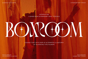 SLTF BOXROOM - Modern Serif Typeface