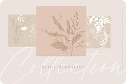 Beige botanical pattern collection, a Pattern Graphic by Anna Sokol (Thumbnail 13 of 16)