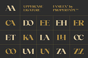 Fanilex, a Serif Font by Propertype (Thumbnail 12 of 16)