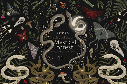Mystical forest. Graphic сollection, an Object Graphic by Chikovnaya
