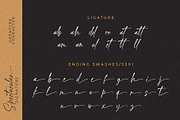 Spectacular Signature Font, a Script Font by Beautypes (Thumbnail 8 of 8)