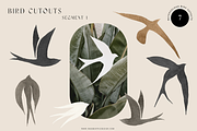 Matisse - Neutral Watercolor Art Set, an Illustration by Ines Beatriz (Thumbnail 3 of 9)