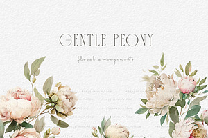 Gentle Peony Floral