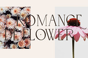 Belle Quest Stylish Serif, a Serif Font by KennedyStudio (Thumbnail 4 of 10)