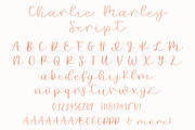Charlie Marley Script Serif Duo, a Serif Font by Jordyn Alison Designs (Thumbnail 11 of 14)