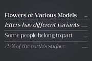 Acosta - Serif Font Family, a Serif Font by Zane Studio (Thumbnail 8 of 11)