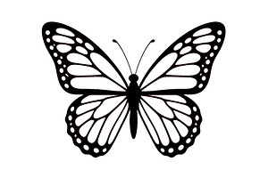 Black butterfly silhouette with