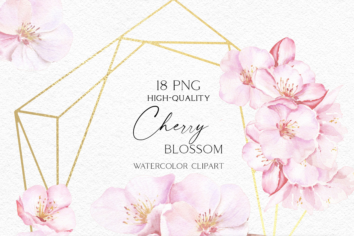 Tender Cherry Blossom, an Illustration by Olga Koelsch (Photo 2 of 8)