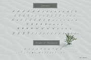 Quinton Script Font, a Script Font by Sala.Ink (Thumbnail 9 of 10)