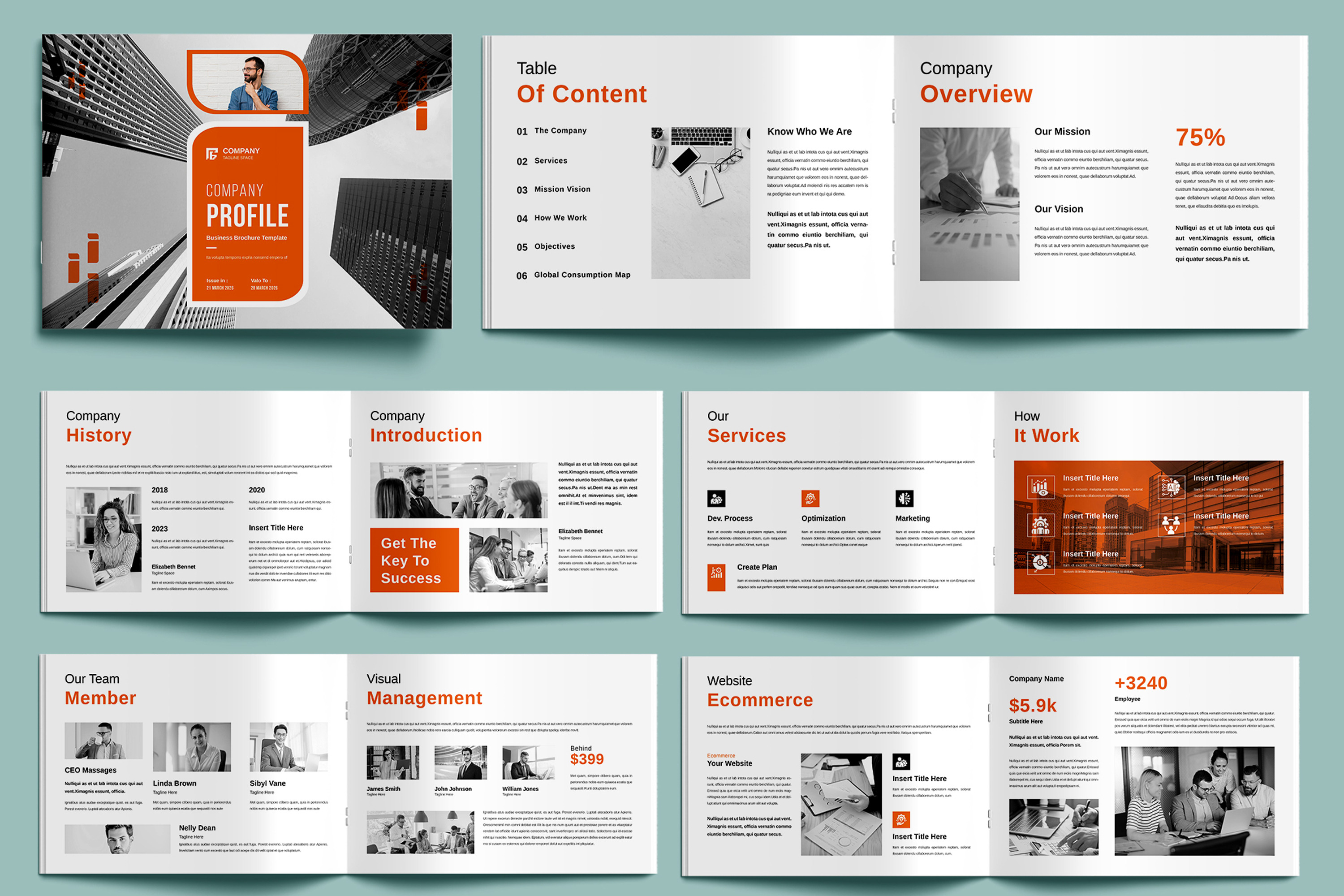Company Profile Layout