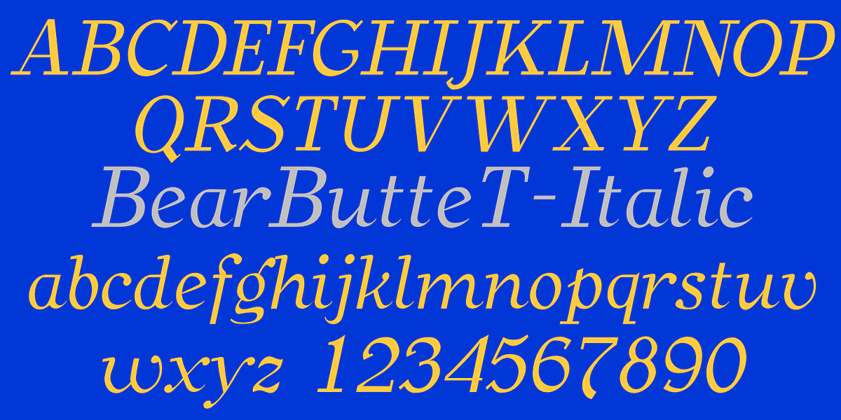 BearButteT, a Slab Serif Font by Ingrimayne Type (Photo 4 of 8)