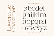 Marginal - A Modern Font, a Serif Font by zeenesia (Thumbnail 16 of 18)