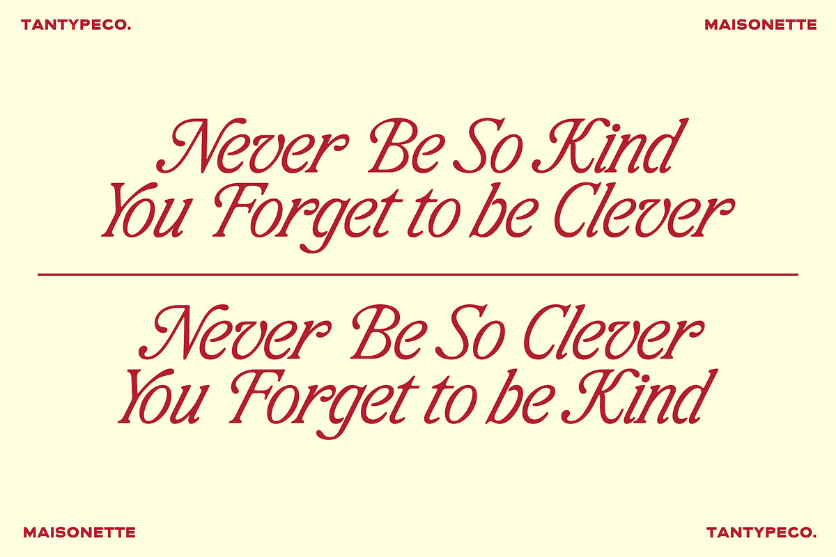 TAN-MAISONETTE, a Serif Font by TanType (Photo 7 of 10)