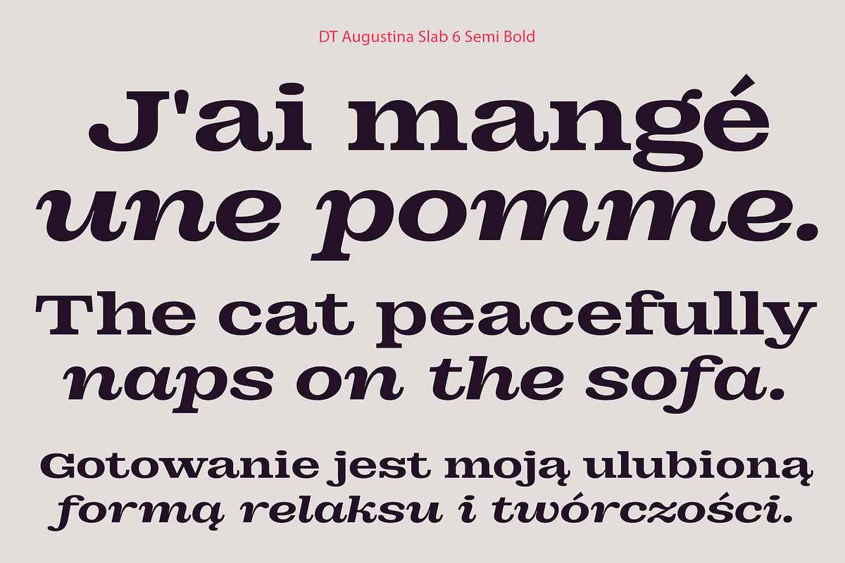 DT Augustina Slab 6 Subfamily, a Slab Serif Font by Deveze Type Foundry (Photo 11 of 30)