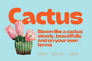Gemst Retro Bold Display Sans, a Sans Serif Font by timelesstype.co (Thumbnail 5 of 15)