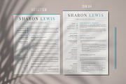 Professional Resume Format Example, a Resume Template by HIRED Design Studio (Thumbnail 5 of 18)