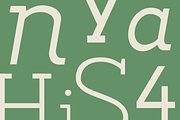 Noirda Slab Serif, a Slab Serif Font by Hanaksara Studio (Thumbnail 5 of 11)