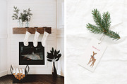 Christmas nature collection, a Seasonal Illustration by Alisovna (Thumbnail 13 of 13)