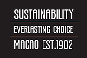 Silverandes; Condensed Display Font, a Font by Eko Bimantara (Thumbnail 3 of 12)