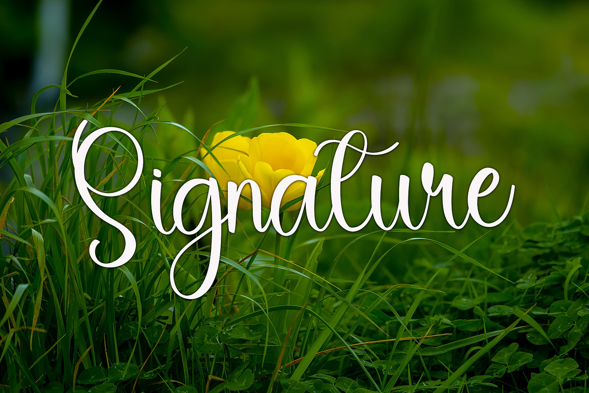 Delight, a Handwritten Font by InermediaSTUDIO (Photo 6 of 7)