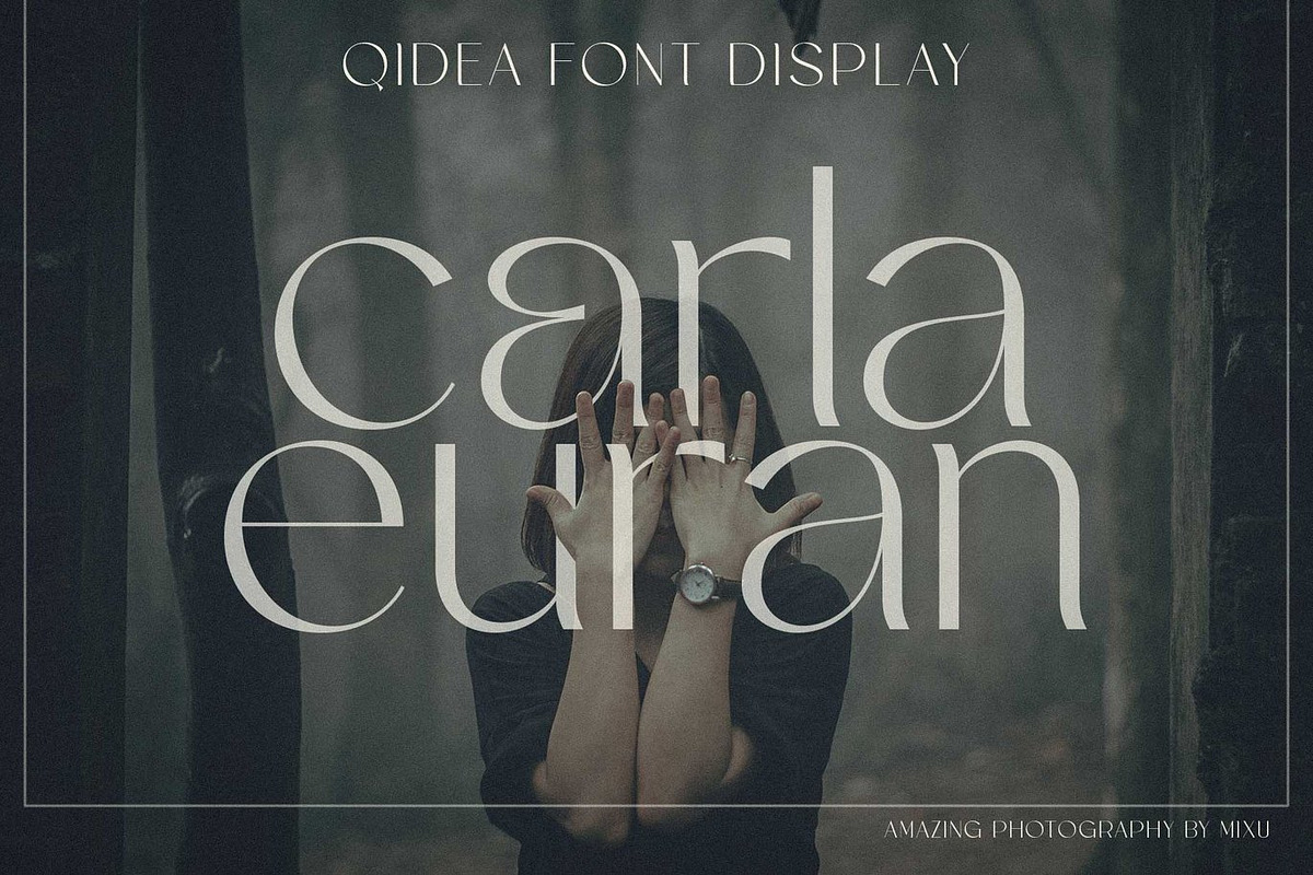 Meagin Elegant Serif, a Serif Font by Luna Shop (Photo 3 of 8)