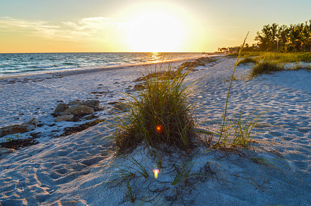 Tall grass on the beach stock photo containing grass and beach, a Nature Photo by Nate Vogels Photography