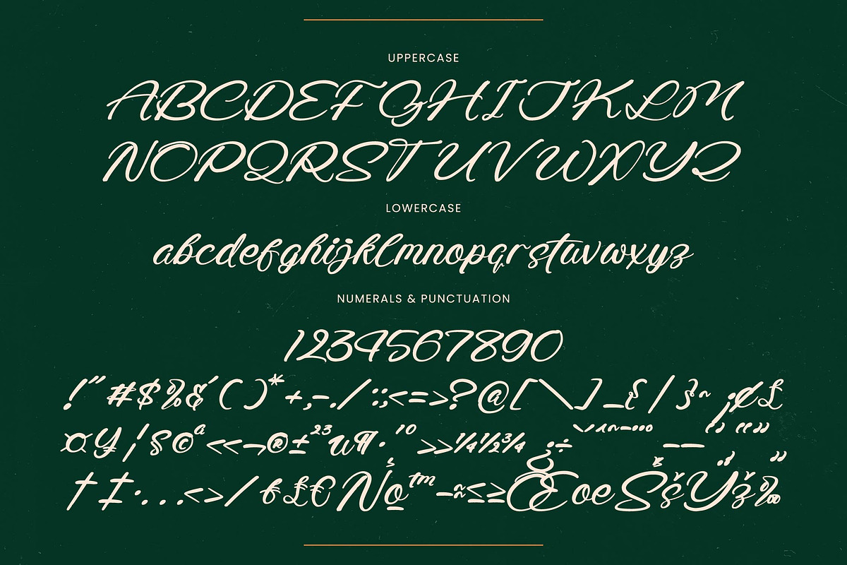 Radiate Yethina Modern Script Font, a Script Font by stylishtype.co (Photo 19 of 20)