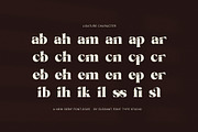 Mikey Elegant Serif Font, a Serif Font by Elegant Font (Thumbnail 6 of 7)